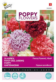 In the 17th century, they were the poppies of celebrated dutch and flemish flower paintings. Mohn Paeoniflorum Gefullte Mischung Mohnsamen Von Buzzy Seeds Samenhaus Samen Samereien