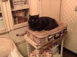 staryj chemodan dekupazh stil stil shebbi shik dekupazh