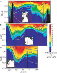 sabine et al. the oceanic sink for
