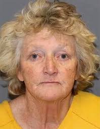 Prosecutors defend prison term for Koch