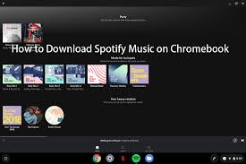 Save spotify songs to computer with macsome spotify downloader. Spotify Chromebook Spotify On Chromebook Offline