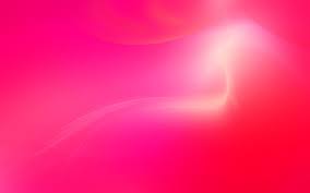 Closeup of bright pink lotus petals on a white background and copy space magic big bright pink water lily or lotus flower perry`s orange sunset in pond on water lilies background. Background Neon Bright Pink Novocom Top