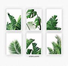 Tropical forest tropics, tropical plant material, flower arranging, plants png. Tropical Leaves Set Of 6 Prints Botanicals Prints Banana Leaf Printable Wall Art Palm Leaf Print Set Of 6 Digital Prints Wall Art Set Printable Wall Art Botanical Wall Art Wall Art Sets