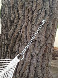As the tree grows the eye. Hammock Hanging Kit With Chains Heavenly Hammocks