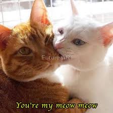 You Re My Meow Meow Sticker By Future Art In 2020 Cats Cute Cats Cute Cats And Kittens