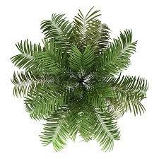 18 Awesome Tree Plan View Png Images Tree Photoshop Tree Plan Photoshop Trees Top View