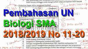 Maybe you would like to learn more about one of these? Soal Dan Pembahasan Un Biologi Sma 2019 Peranti Guru