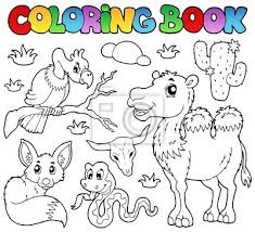 Check spelling or type a new query. Plakat Kolorowanki Zwierzeta Pustynne Ksiazki 1 Na Wymiar Sztuka Malowac Projekt Redro Pl