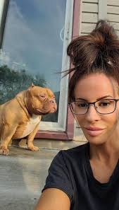 Bullies collaboration and new puppy