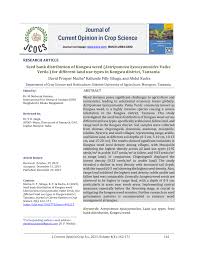 Image result for Astripomoea hyoscyamoides