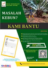 Felda dikenali dengan penanaman kelapa sawit yang menjadi sumber eksport perladangan utama bagi negara kita. Peneroka Felda In English