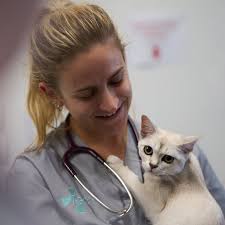 ARC Vets (@arcvets) • Instagram photos and videos