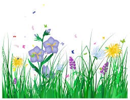 Grass Border No Background Clipart Panda Free Clipart Images Dvac8l Clipart Png 1200 926 Flower Drawing Design Butterfly Clip Art Free Clip Art
