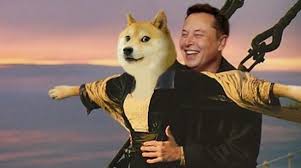 Doge (often /ˈdoʊdʒ/ dohj, /ˈdoʊɡ/ dohg, /ˈdoʊʒ/ dohzh) is an internet meme that became popular in 2013. Cryptocurrency Dogecoin Meme Elon Musk Doge