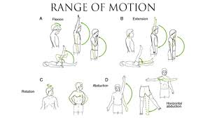 Range Of Motion Of Body Joint And Physiotherapy Exercise