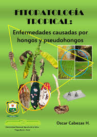 The first game, plants vs. Fitopatologia Tropical Enfermedades Causadas Por Hongos Y Pseudohongos By Oscar Cabezas Issuu