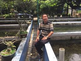 Bisnis Budi Daya Lobster Air Tawar Yang Masih Bertahan Di Zaman Now Kumparan Com