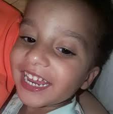 🪰 🐉 Ela não faz barulho, não busca atenção, mas todos os dias ajuda a  salvar vidas. A libélula é uma das maiores aliadas da natureza no combate  aos mosquitos que transmitem