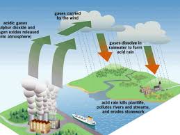 Gambar proses terjadinya hujan orografis. 17 Jenis Hujan Berdasarkan Proses Terjadinya Penjelasannya