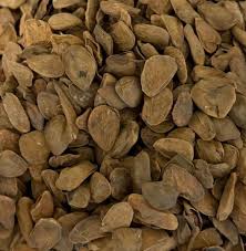 Image result for Hunteria umbellata