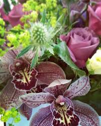 Make scents flower distrs is a wholesale company based out of 3777 marine way, burnaby, bc, canada. Burnaby Flower Shop Passion Floral Boutique Your Local Burnaby Florist