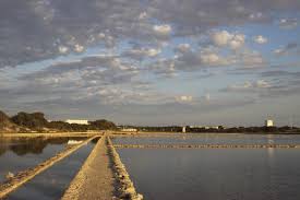 Even Zout Als Zout Maar Minder Ongezond De Standaard Mobile