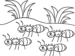 You are free to share or adapt it for any purpose, even commercially under the following terms: Pin On Insect Coloring Pages