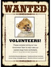 Book an appointment to meet adoptable dogs. Looking For More Volunteers For New Programs At The East And West Side Albuquerque Animal Welfare Shelters Volunteer Westside New Program