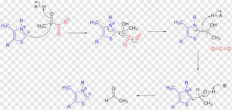 A) Me Reaction. Me Catalyzes The Oxidative Decarboxylation Of The C4... |  Download Scientific Diagram