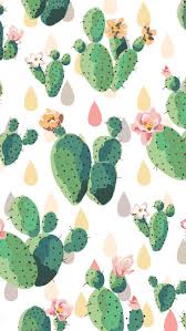 We hope you enjoy our growing collection of hd images to use as a background or home screen for please contact us if you want to publish a plant aesthetic desktop wallpaper on our site. Cactus Iphone Wallpaper Screen Savers Wallpapers Iphone Screen Savers Cute Cactus Wallpapers