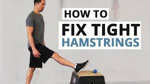 The hamstring muscles, commonly referred to as the bicep of the leg, are probably one of the most under valued, overlooked, forgotten and undertrained muscles of the entire body. The Mighty Hamstring Muscles Anatomy Injury Training
