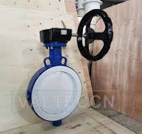 DN250(10 Inch) WCB PTFE Lined Butterfly Valve Supplier and ...