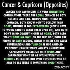 You both hold the idea of security as the most important. 900 Capricorn Ideas Capricorn Capricorn Quotes Capricorn Facts