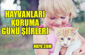 Hayvanlar Ile Ilgili Siirler Nkfu