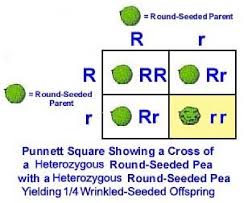 Pin On Life Science