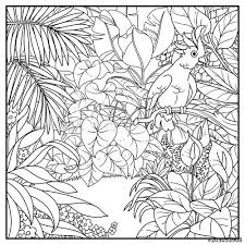 Black And White Line Drawing Background Wild Jungle With Cockatoo Parrot Perched On Branch Black Contour Line Drawing For Coloring On A White Backgrou Jungle Drawing Contour Line Drawing Line Drawing
