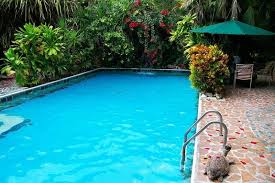 Tropical backyard pool spa ideas backyard pool with tropical garden design backyard pool landscaping ideas backyard landscaping ideas around pool best chic south florida pool home w tropical backyard meticulous. Tropical Pool Designs Creating A Paradise In Your Backyard Pool Pricer