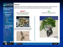 Learn vocabulary, terms and more with flashcards, games and other study tools. Florida First Detector Educational Resources For County Agents Amanda Hodges Ph D University Of Florida Ifas Entomology Nematology Department Spdn Ppt Download