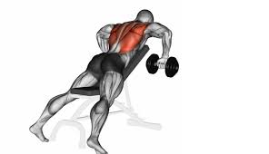 Lats workout at home with dumbbells. Want To Step Up Your Lats Workout At Home Read These Tips From The Experts First