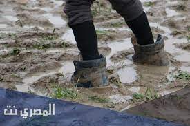 إن القطط في المنام تدل على الأعداء إن قامت بالهجوم عليك أو ربما دلت على أصدقاء السوء وعليك البعد عنهم، وإذا تمكنت من إبعاد القطط عنك يدل على مقدرتك في التغلب على المصاعب، والخوف منها يدل على التفكير المستمر بالمستقبل والخوف من حدوث شئ تخافه. Cxfcmvy7fgviwm