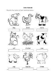 animals worksheet pdf