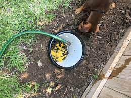 And that cat litter you flushed is now becoming an issue in the septic tank. Diy Doggie Septic System With Natural Starter 14 Steps With Pictures Instructables