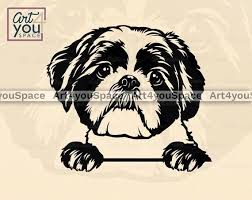 Download Shih Tzu Svg Dog Svg File For Cricut Cute Face Clipart Etsy Shih Tzu Digital Artwork Cute Faces SVG, PNG, EPS, DXF File