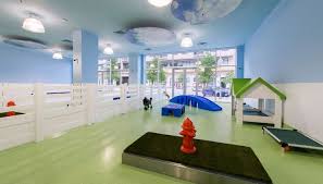 Check spelling or type a new query. Pin On Dog Day Care