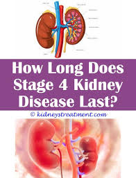 Kidney Cleanse How To Get Rid Kidney Disease Chronic Kidney Disease Kidney Disease Stages