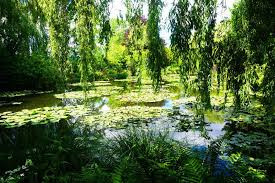 Claude Monet Ein Besuch Am Beruhmten Seerosenteich Seerosenteich Monet Garten Monet