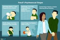 Image result for For each stage of the Psychosexual Theory, what are some adult example of a behavior. For the Latency stage whats an example of a defense mechanism instead of an adult behavior.