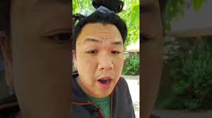 Freedom No-Pull Harness review by Aaron Eng