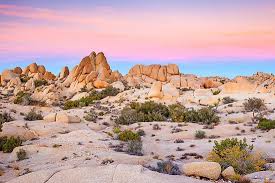 Along the back roads north of santa fe, old adobe villages and public signs in spanish dominate the cultural landscape. The Major Deserts Of The United States Worldatlas
