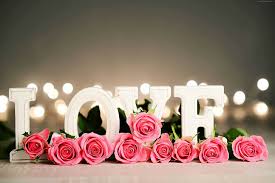 Download hd rose wallpapers best collection. Page 2 4k Rose Hd Wallpapers Free Download Wallpaperbetter